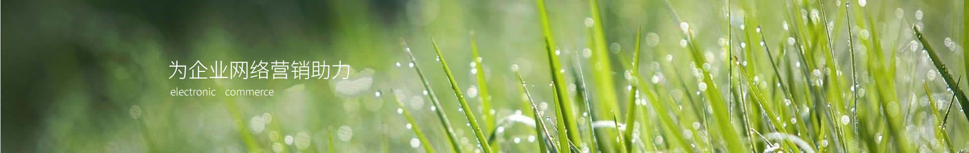 ջܿƼ޹˾